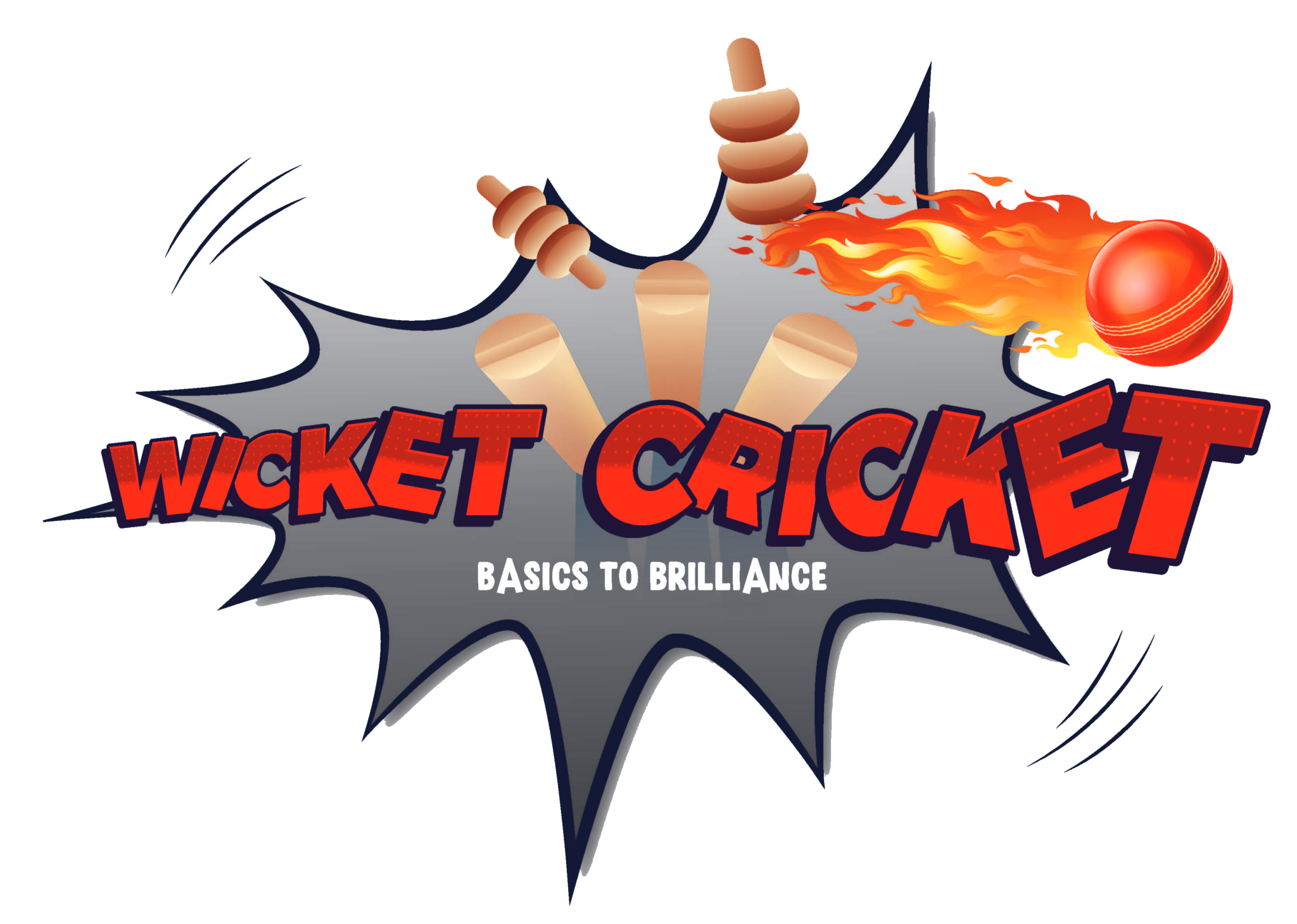 Wicket Cricket