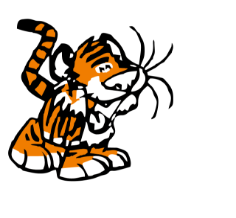 Tumbling Tigerz